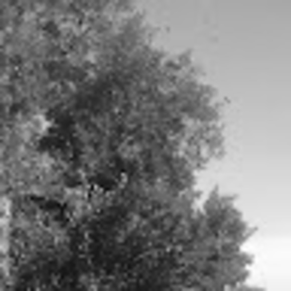 Meet your Posher, Isabella - Picture 1 of 1